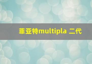 菲亚特multipla 二代